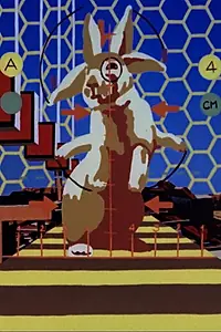 Постер к мультфильму «Заяц (1976)»