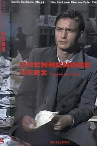 Постер к фильму «Пылающее сердце (1996)»