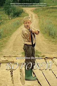 Постер к фильму «Воробей (2010)»