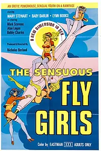 Главный постер фильма «Sensuous Flygirls (1976)»