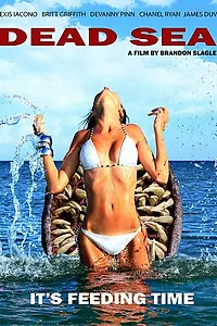 Постер к фильму «Мёртвое море (2014)»
