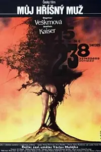Главный постер фильма «Мой грешный муж (1987)»