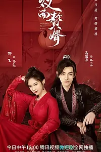 Главный постер сериала «Боевая жена (2022)»