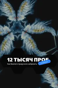Постер к фильму «12 тысяч проб (2022)»