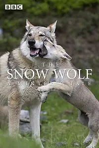Главный постер фильма «The Snow Wolf: A Winter's Tale (2018)»