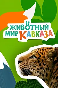 Главный постер сериала «Животный мир Кавказа (2022)»