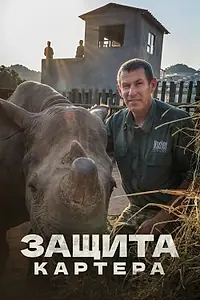 Постер к сериалу «Защита Картера (2015 - 2017)»