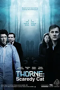 Главный постер фильма «Торн: Пуганая ворона (2010)»