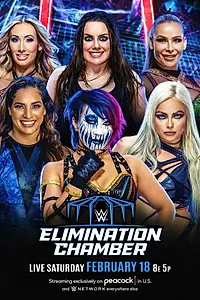 Главный постер фильма «WWE Камера ликвидации (2023)»