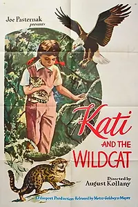 Главный постер фильма «Kati és a vadmacska (1956)»