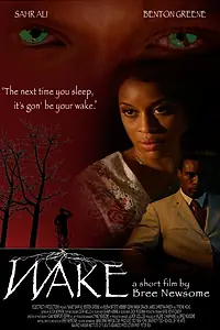 Постер к фильму «Wake (2010)»