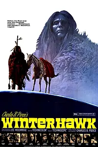 Главный постер фильма «Зимний ястреб (1975)»