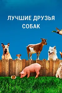 Главный постер сериала «Лучшие друзья собак (2014)»