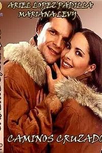Постер к сериалу «Перекрестки (1994 - 1995)»