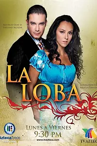 Постер к сериалу «Волчица (2010)»