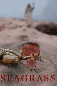 Постер к фильму «Seagrass (2019)»