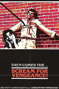 Главный постер фильма «Vengeance (1980)»
