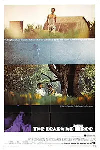 Главный постер фильма «Дерево науки (1969)»