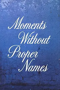 Главный постер фильма «Moments Without Proper Names (1987)»