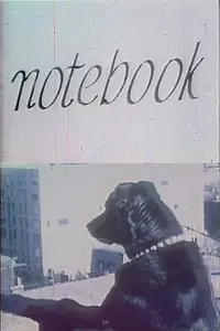 Главный постер фильма «Заметки (1963)»