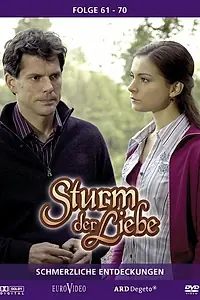 Постер к сериалу «Шторм любви (2005)»