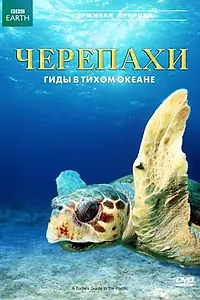 Главный постер фильма «Черепахи: Гиды в Тихом океане (2008)»