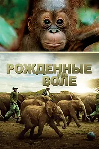 Главный постер фильма «Рожденные на воле (2011)»
