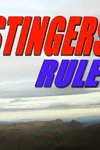 Постер к фильму «Stingers Rule! (2009)»