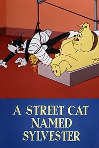 Главный постер мультфильма «A Street Cat Named Sylvester (1953)»