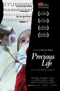 Главный постер фильма «Дорогая жизнь (2010)»