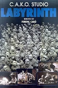 Постер к мультфильму «Лабиринт (1999)»