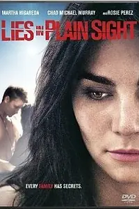 Постер к фильму «Очевидная ложь (2010)»