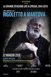 Постер к фильму «Риголетто в Мантуе (2010)»