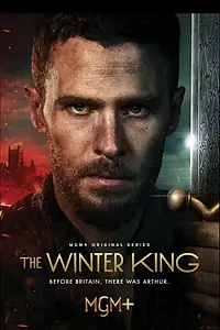 Постер к сериалу «Зимний король (2023)»