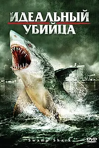 Главный постер фильма «Идеальный убийца (2011)»