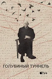 Главный постер фильма «Голубиный туннель (2023)»