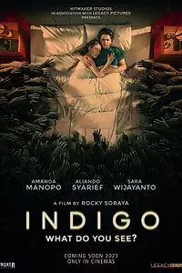 Постер к фильму «Индиго (2023)»