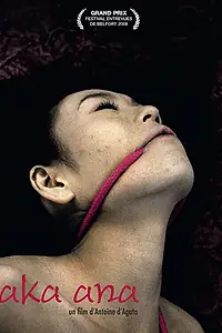 Главный постер фильма «Красная дыра (2008)»