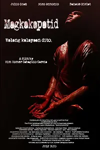 Постер к фильму «Братья (2010)»