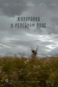Постер к фильму «Жаворонки в репейном поле (2021)»