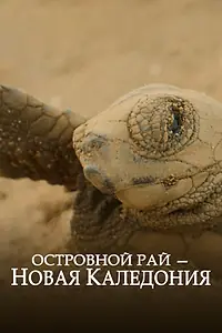 Постер к фильму «Островной рай – Новая Каледония (2020)»