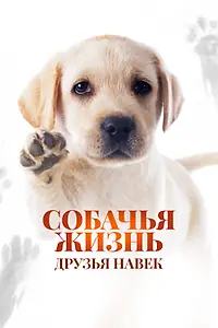 Главный постер фильма «Собачья жизнь: Друзья навек (2023)»