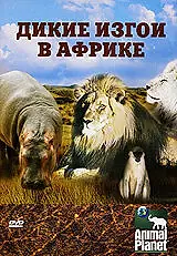 Постер к фильму «Animal Planet: Дикие изгои в Африке (2006)»