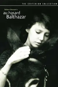 Главный постер фильма «Наудачу, Бальтазар (1966)»