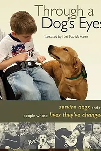 Главный постер фильма «Through a Dog's Eyes (2010)»