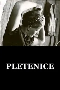 Главный постер фильма «Pletenice (1974)»