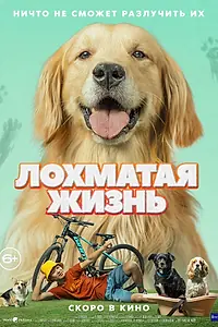 Главный постер фильма «Лохматая жизнь (2023)»