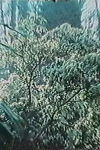 Главный постер фильма «Le vent souffle où il veut (1976)»