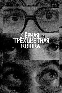Постер к фильму «Чёрная трёхцветная кошка»