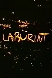 Постер к мультфильму «Лабиринт (1989)»